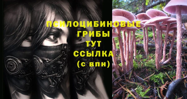 спиды Балахна
